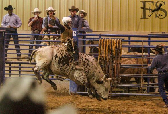 Comanche Springs Rodeo