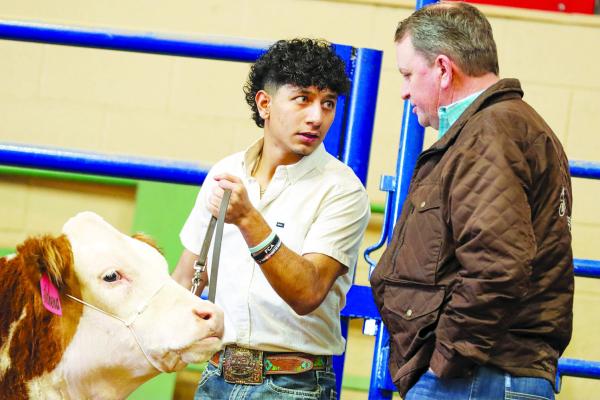 Pecos County Stock Show results