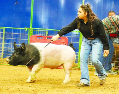 Pecos County Stock Show results