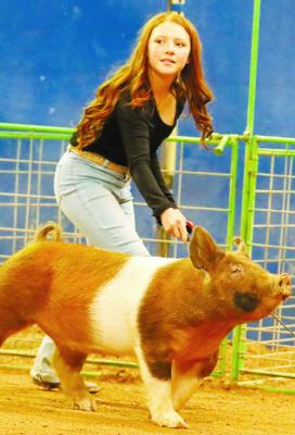 Pecos County Stock Show results