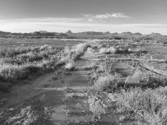 Habitat restoration at Nine Points Mesa Ranch in Brewster County. Photo by Caleb Hughes