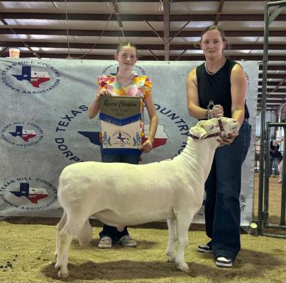 Iraan FFA student, Mackenzie Allen, accomplishing the Reserve Champion White Dorper Ram award at the Texas Hill Country Dorper Show. Courtesy Photo by IRAAN ISD