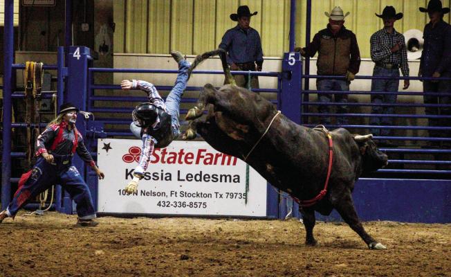 Last week, the Comanche Spring Rodeo delighted visitors once again. In what has become a local and national tradition, the rodeo has grown exponentially since its birth six years ago. Results to be printed in next week’s issue. Photo by Tristian Barragan