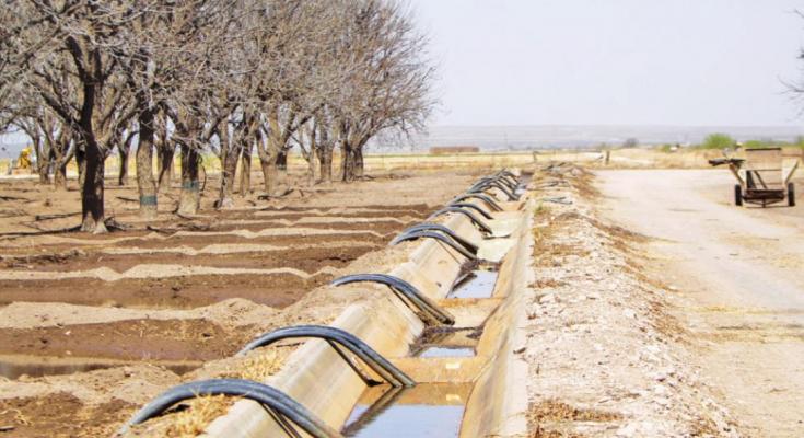 GROWING SEASON UNDERWAY AT BELDING FARMS