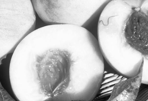 Alt Text for ImageDifferent varieties of peach trees will ensure good cross-pollinaton