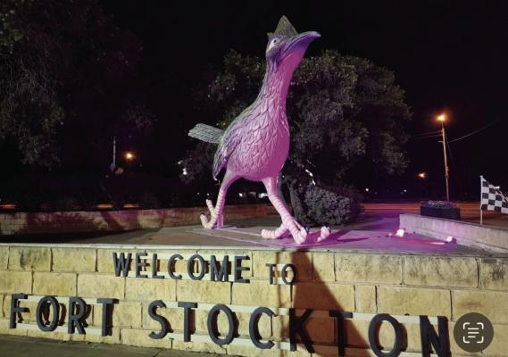 Paisano Pete was decked out in a rosy glow last year for breast cancer awareness month and the Stonger Together 5k run. This year, many businesses will join him in showing the fight against cancer with their best pink forward. Story on 1. Courtesy Photo