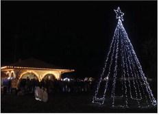 The Fort Stockton Christmas tree located in front of the Chamber of Commerce lit the night after the pictures with Santa event on Friday. Photo by Tristian Barragan