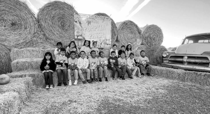 A Pumkin Patch Blast!