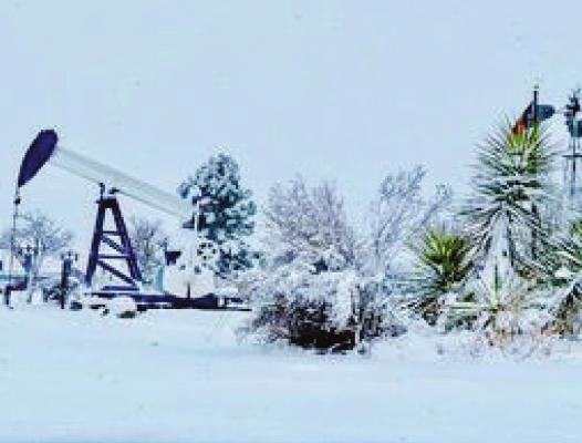 Snow in the city