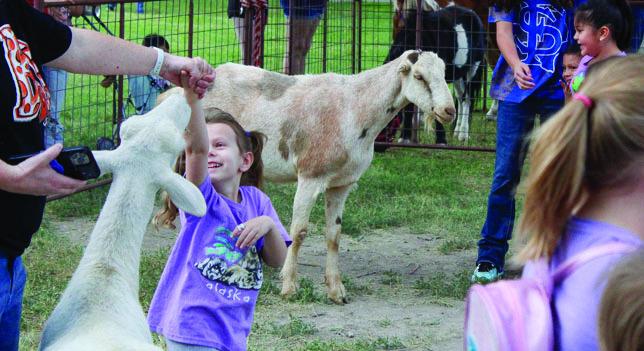 The petting zoo at Fall Festival in Fort Stockton on Saturday was well-enjoyed by children and their families. Goats of all sizes were featured in the fenced-in area inside Rooney Park, as well as llamas.