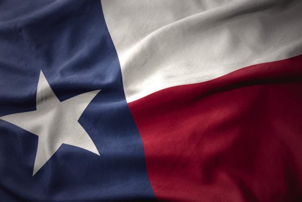 Texas Senate Committee Debates