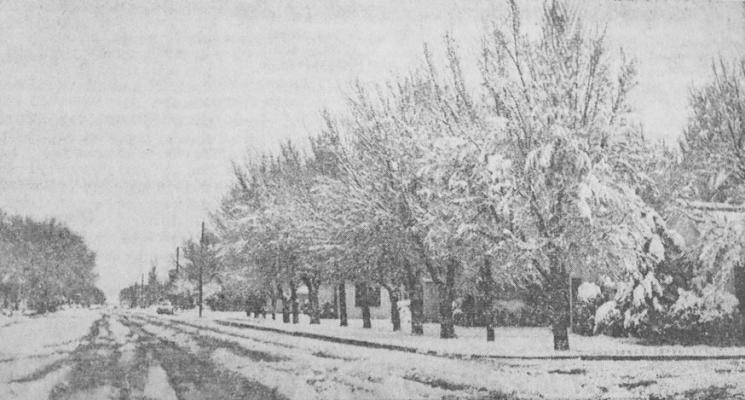 February 1960: ALASKA MAYBE? Nope, it’s N, Pecos Street in Fort Stockton shortly after a snow. Variously estimated from four to eight inches blanketed the city. The sudden snow was the biggest here in many years.