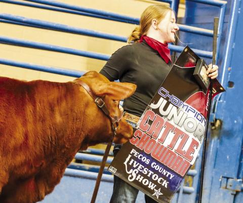 The youth of Pecos County showcase their talent at annual stock show