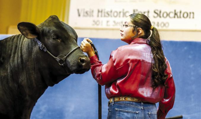 The youth of Pecos County showcase their talent at annual stock show