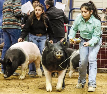 The youth of Pecos County showcase their talent at annual stock show