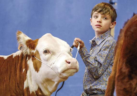 The youth of Pecos County showcase their talent at annual stock show