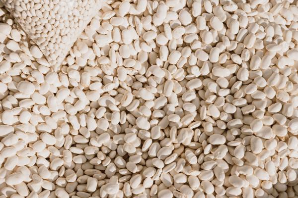 White Beans
