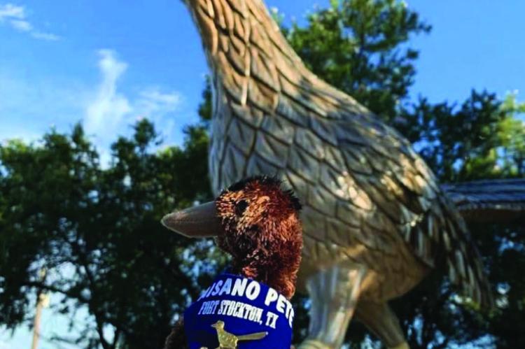 Families are invited to attend Thursday’s featured program, “All About Paisano Pete,” presented by Brenda De La O, Marketing &amp; Sales Coordinator for the Fort Stockton Convention &amp; Visitors Bureau. Courtesy Photo