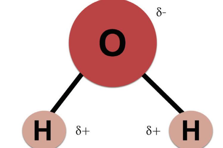Depiction of a water molecule. Courtesy photo