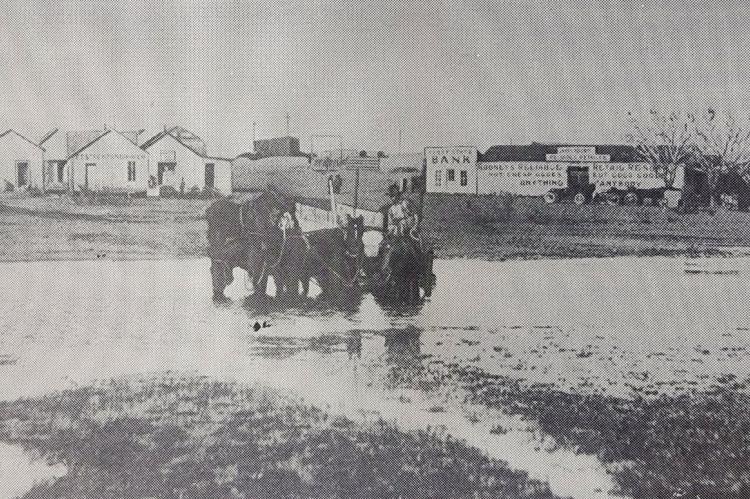 The wagon and team shown in the picture is a freight outfit goods hauled from the railroad to the Rooney Mercantile Company of Fort Stockton, Texas 1921.