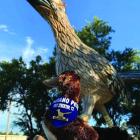 Families are invited to attend Thursday’s featured program, “All About Paisano Pete,” presented by Brenda De La O, Marketing &amp; Sales Coordinator for the Fort Stockton Convention &amp; Visitors Bureau. Courtesy Photo